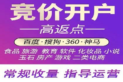 竞价SEM案例分享：行业霸主崛起之路